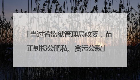 当过省监狱管理局政委，苗正钊损公肥私、贪污公款