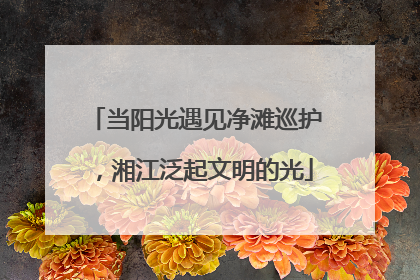 当阳光遇见净滩巡护，湘江泛起文明的光