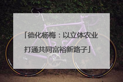 德化杨梅：以立体农业打通共同富裕新路子