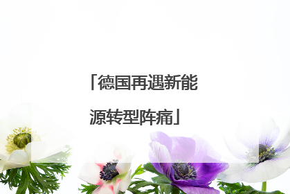 德国再遇新能源转型阵痛