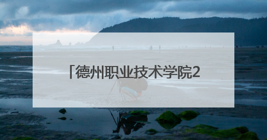 德州职业技术学院2025年大学生暑期社会实践活动启动