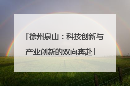 徐州泉山：科技创新与产业创新的双向奔赴