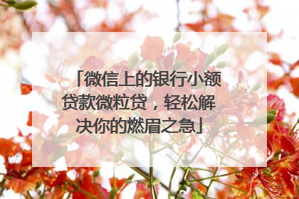 微信上的银行小额贷款微粒贷，轻松解决你的燃眉之急