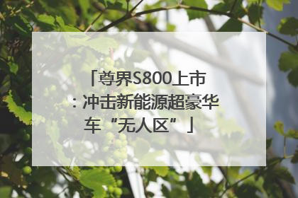 尊界S800上市：冲击新能源超豪华车“无人区”