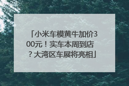 小米车模黄牛加价300元！实车本周到店？大湾区车展将亮相