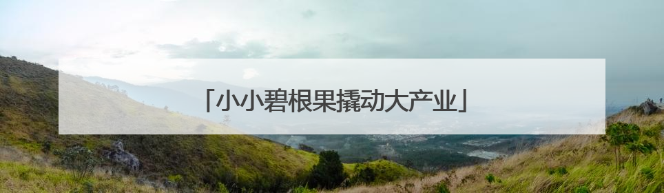 小小碧根果撬动大产业
