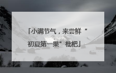 小满节气，来尝鲜“初夏第一果”枇杷