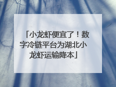 小龙虾便宜了！数字冷链平台为湖北小龙虾运输降本