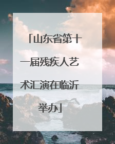 山东省第十一届残疾人艺术汇演在临沂举办