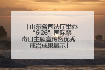 山东省司法厅举办“6·26”国际禁毒日主题宣传暨优秀戒治成果展示