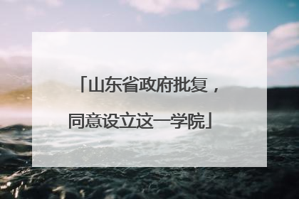 山东省政府批复，同意设立这一学院
