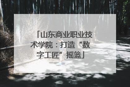 山东商业职业技术学院：打造“数字工匠”摇篮