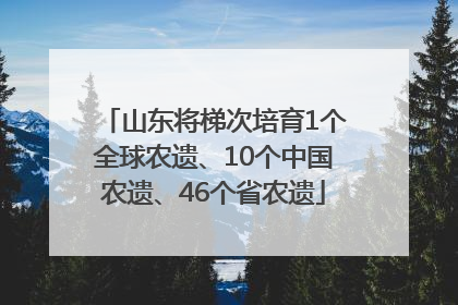 山东将梯次培育1个全球农遗、10个中国农遗、46个省农遗