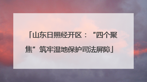 山东日照经开区：“四个聚焦”筑牢湿地保护司法屏障