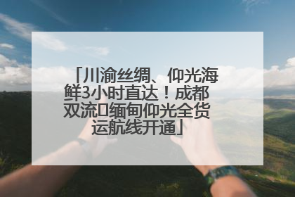 川渝丝绸、仰光海鲜3小时直达！成都双流⇌缅甸仰光全货运航线开通