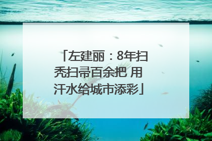 左建丽：8年扫秃扫帚百余把 用汗水给城市添彩