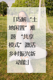 巧解“土地闲置”难题 “共享模式”激活乡村振兴新动能
