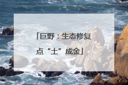 巨野：生态修复点“土”成金