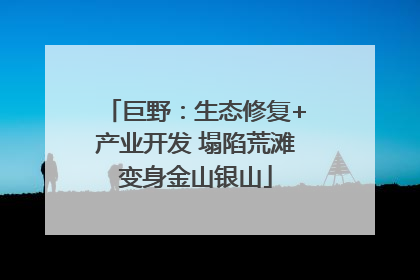 巨野：生态修复+产业开发 塌陷荒滩变身金山银山