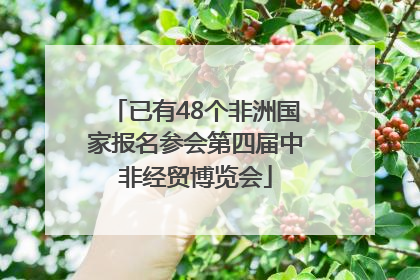 已有48个非洲国家报名参会第四届中非经贸博览会