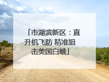 市湖滨新区：直升机飞防 精准狙击美国白蛾
