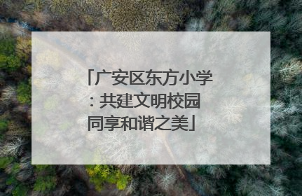 广安区东方小学：共建文明校园 同享和谐之美