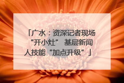 广水：资深记者现场“开小灶” 基层新闻人技能“加点升级”
