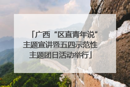 广西“区直青年说”主题宣讲暨五四示范性主题团日活动举行