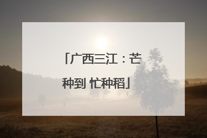 广西三江：芒种到 忙种稻