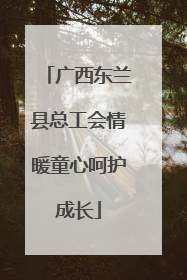 广西东兰县总工会情暖童心呵护成长