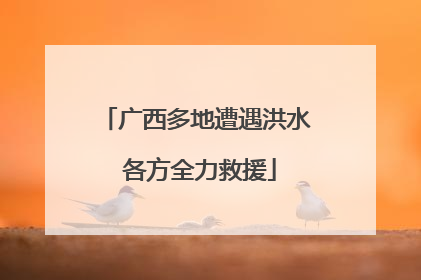 广西多地遭遇洪水 各方全力救援