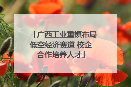 广西工业重镇布局低空经济赛道 校企合作培养人才