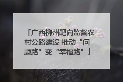 广西柳州靶向监督农村公路建设 推动“问题路”变“幸福路”