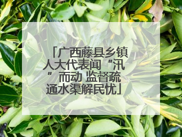 广西藤县乡镇人大代表闻“汛”而动 监督疏通水渠解民忧