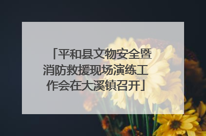 平和县文物安全暨消防救援现场演练工作会在大溪镇召开