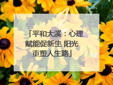平和大溪：心理赋能促新生 阳光重塑人生路