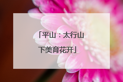 平山：太行山下美育花开
