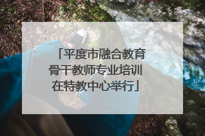 平度市融合教育骨干教师专业培训在特教中心举行