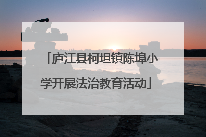 庐江县柯坦镇陈埠小学开展法治教育活动
