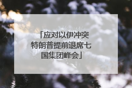 应对以伊冲突 特朗普提前退席七国集团峰会