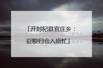 开封杞县官庄乡：夏粮归仓入廪忙