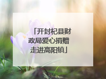 开封杞县财政局爱心捐赠走进高阳镇