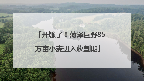 开镰了！菏泽巨野85万亩小麦进入收割期