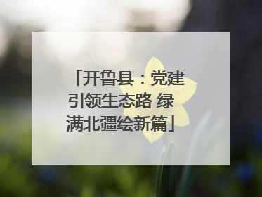 开鲁县：党建引领生态路 绿满北疆绘新篇
