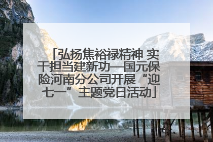 弘扬焦裕禄精神 实干担当建新功—国元保险河南分公司开展“迎七一”主题党日活动