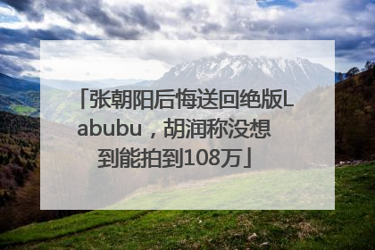 张朝阳后悔送回绝版Labubu，胡润称没想到能拍到108万