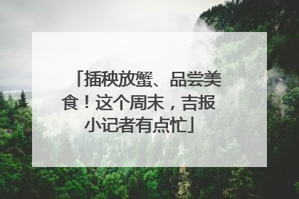插秧放蟹、品尝美食！这个周末，吉报小记者有点忙