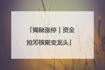 揭秘涨停｜资金抢筹核聚变龙头