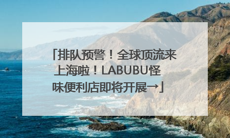 排队预警！全球顶流来上海啦！LABUBU怪味便利店即将开展→
