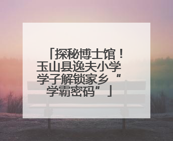 探秘博士馆！玉山县逸夫小学学子解锁家乡“学霸密码”
